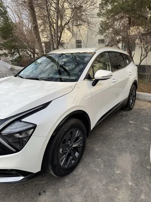 Kia Sportage image 1