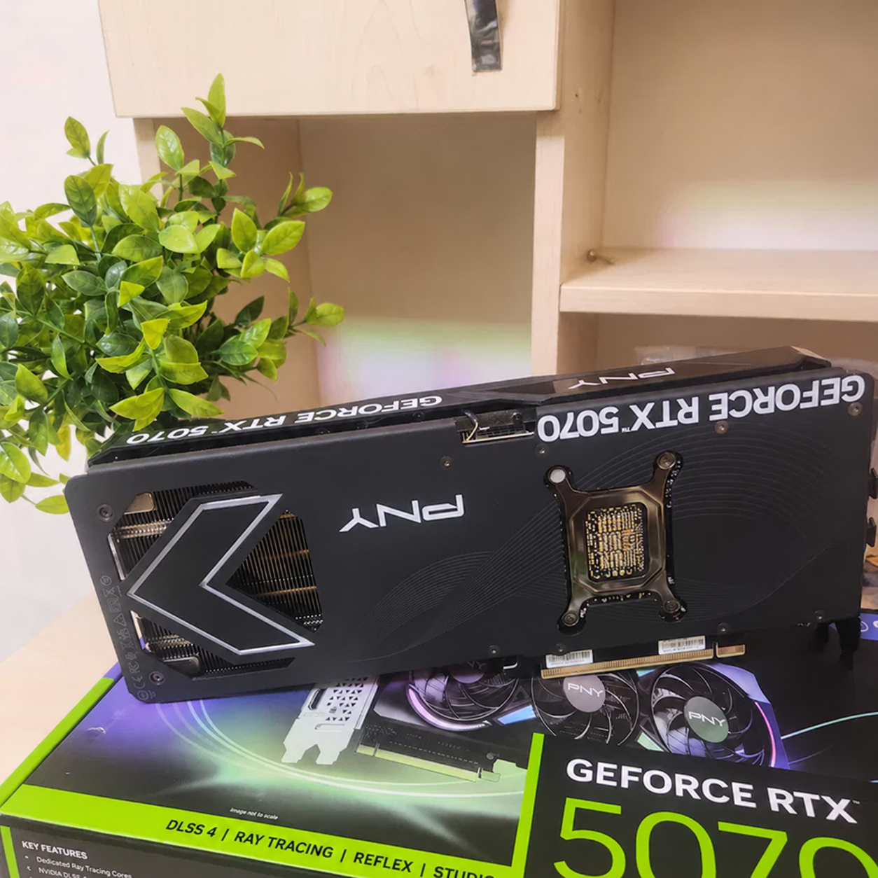 Видеокарта PNY GeForce RTX 5070 12 ГБ image 2