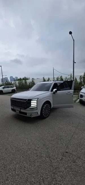 Hyundai Palisade blur bg