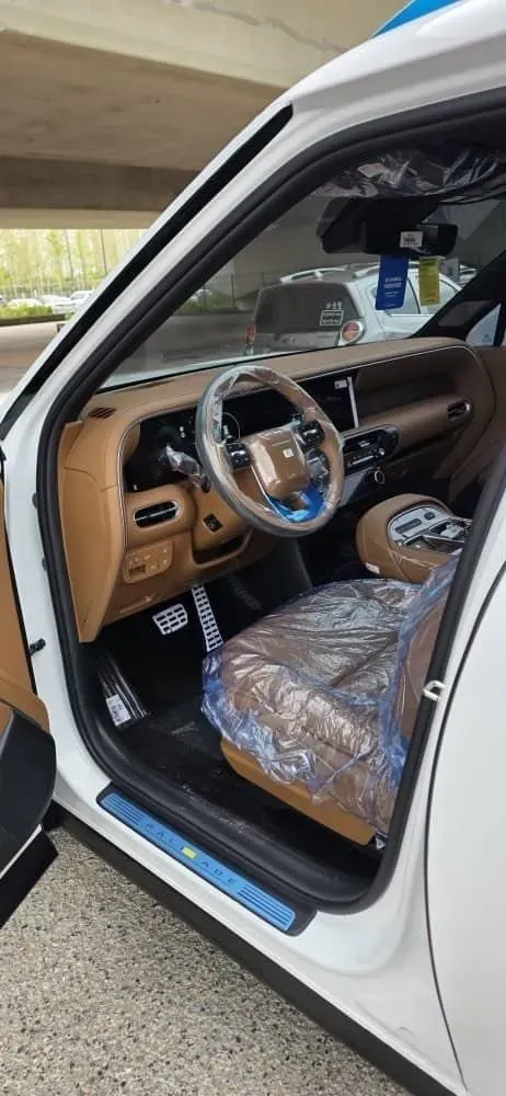 Hyundai Palisade image 1