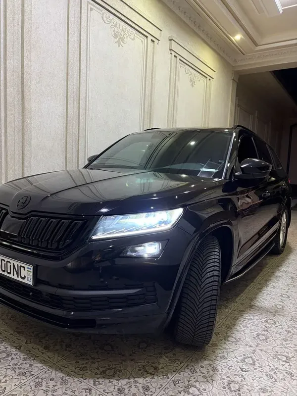 Skoda Kodiaq blur bg