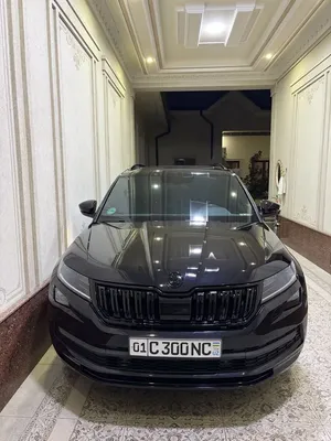 Skoda Kodiaq image 1 blur bg