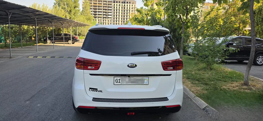 Kia Carnival image 1