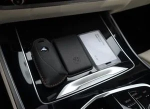 BMW X5 image 6 blur bg